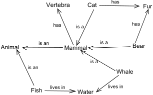 Semantic Network